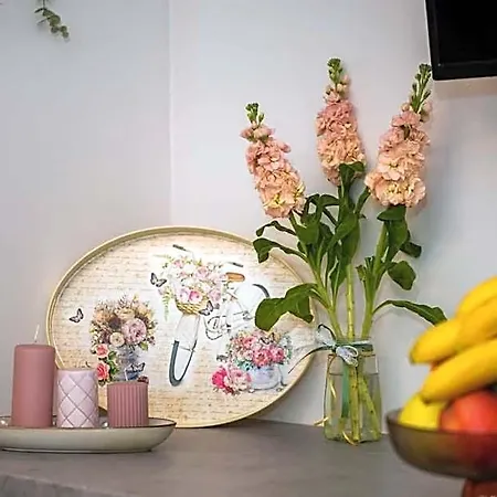 Mini Zen Nomad Maison - Calming And Charming 3*